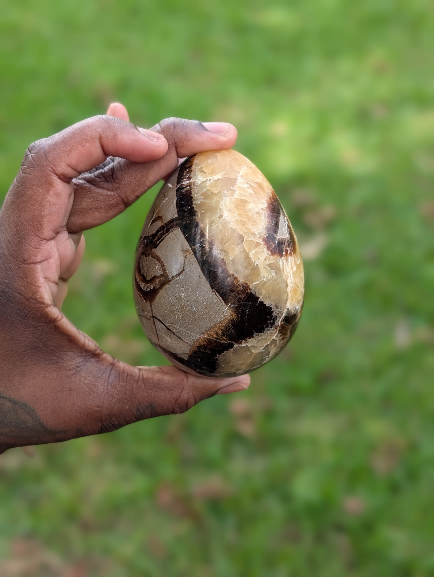 Septarian Dragon Egg