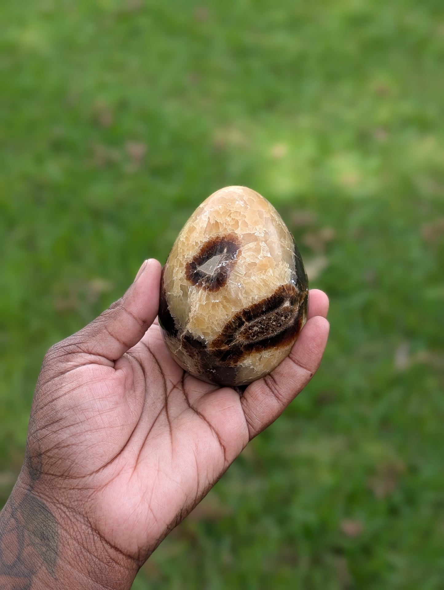 Septarian Dragon Egg