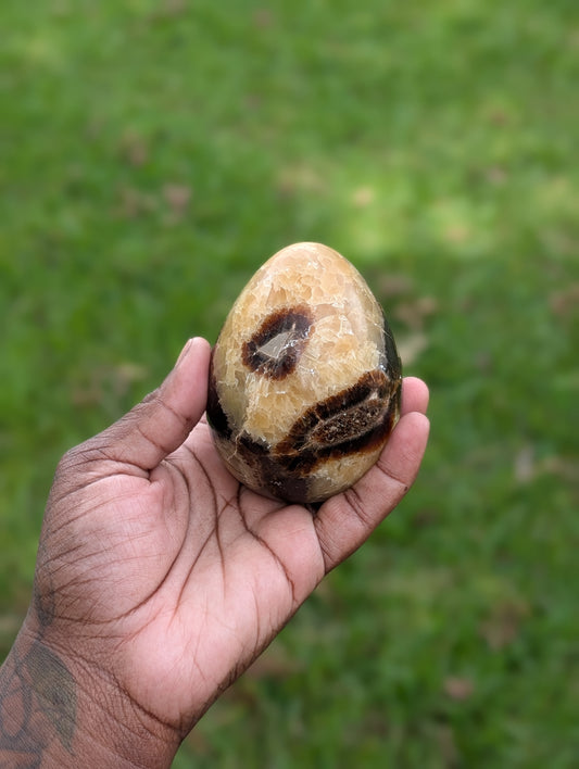 Septarian Dragon Egg