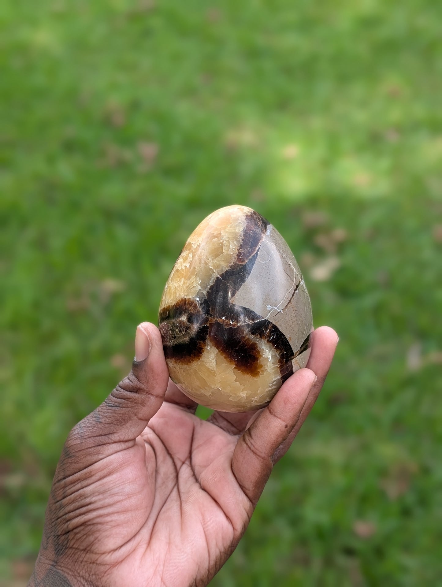 Septarian Dragon Egg