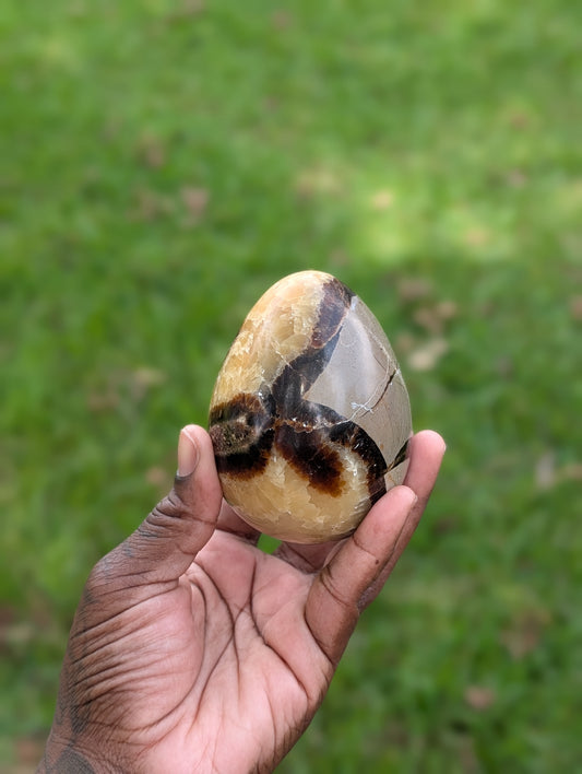 Septarian Dragon Egg